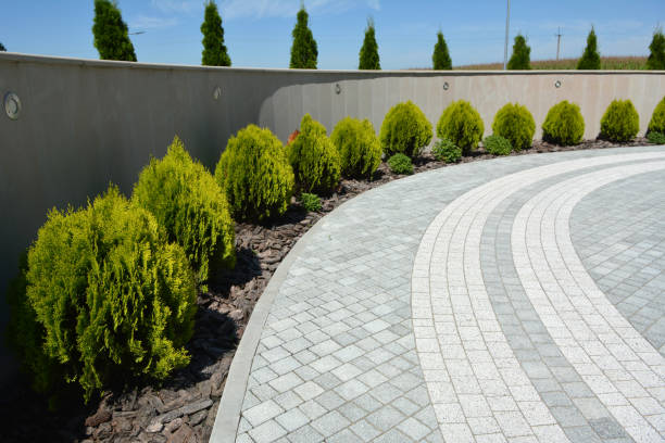 Best Cobblestone Driveway Paving in Elizabeth City, NC